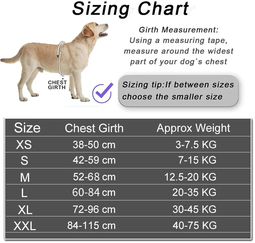 No-pull dog harness